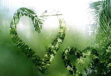 华体会官方-包含法国队绝杀波兰队，林高远刷新纪录的词条