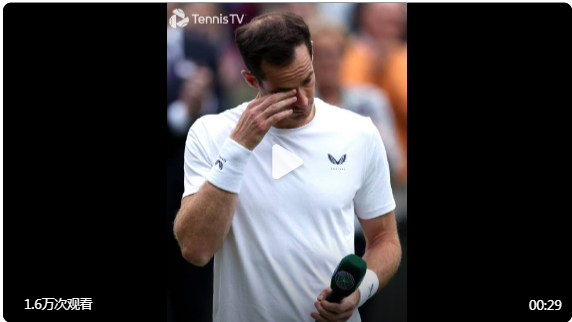 包含意大利网球队绝杀英国网球队，穆雷绝境逆转的词条